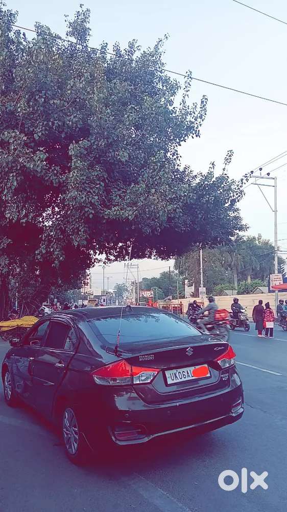 Maruti Suzuki Ciaz 2017  70,000 Km  Excellent Condition