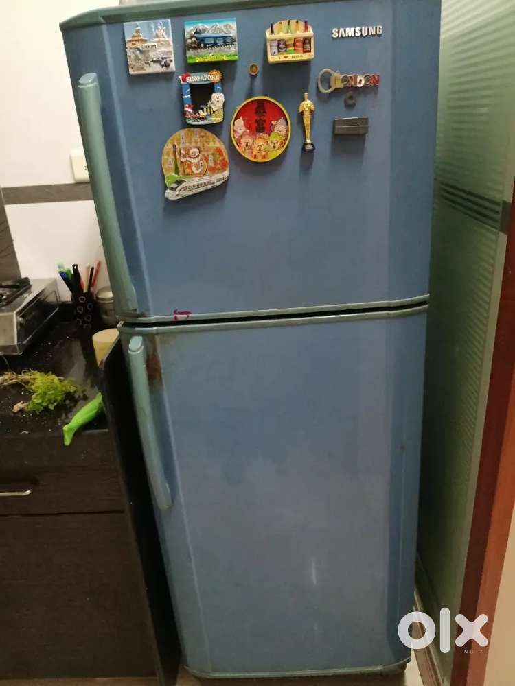 Fridge refrigerator