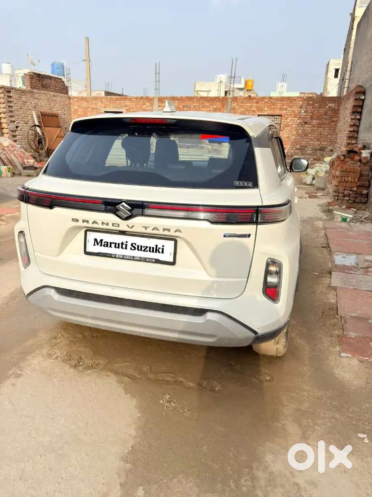 Maruti Suzuki Grand Vitara 2024 Petrol Good Condition