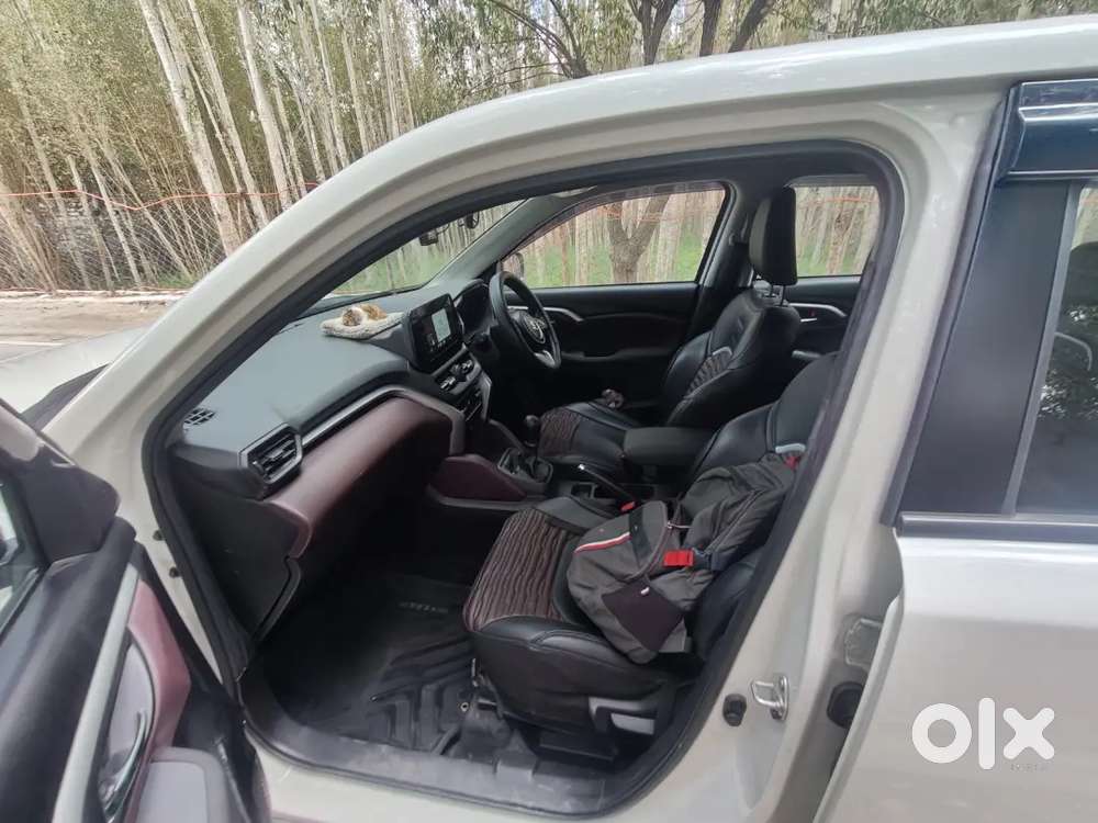 Maruti Suzuki Grand Vitara 2024 Petrol 9849 Km Driven