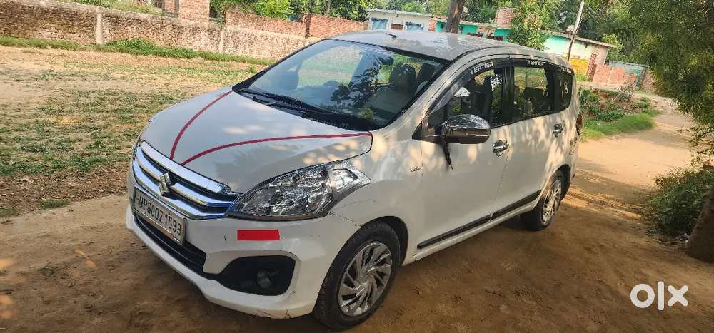 2017 Model