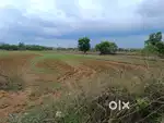 Agricultural Land for sell Low price