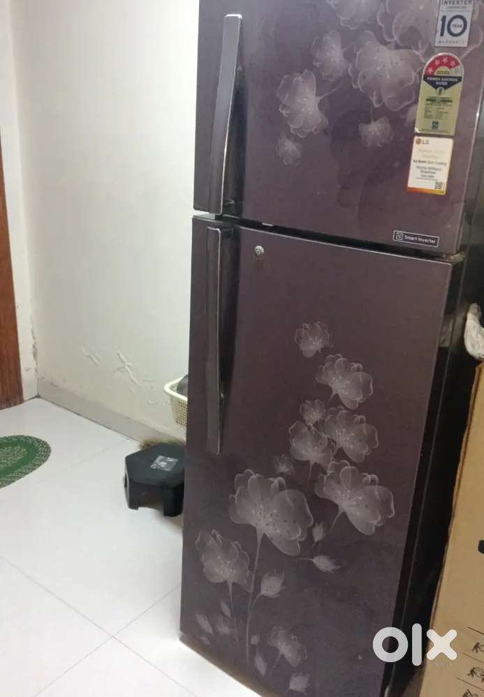 LG Friz Dabal Door