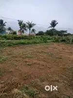 Royal City