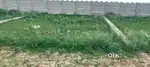 Sale brajdham colony ambah bypass morena