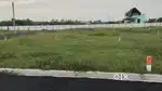 Primium city nature vibe