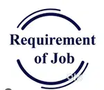 Urgent Requirement for Accountant who work on tally or entry