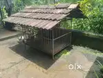 Best quality kennel mob