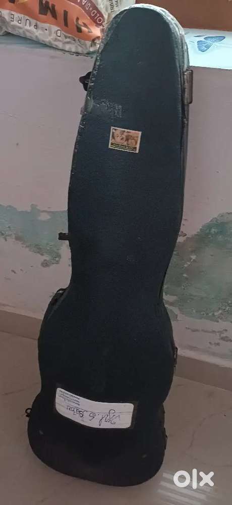 Violin, sruthybox