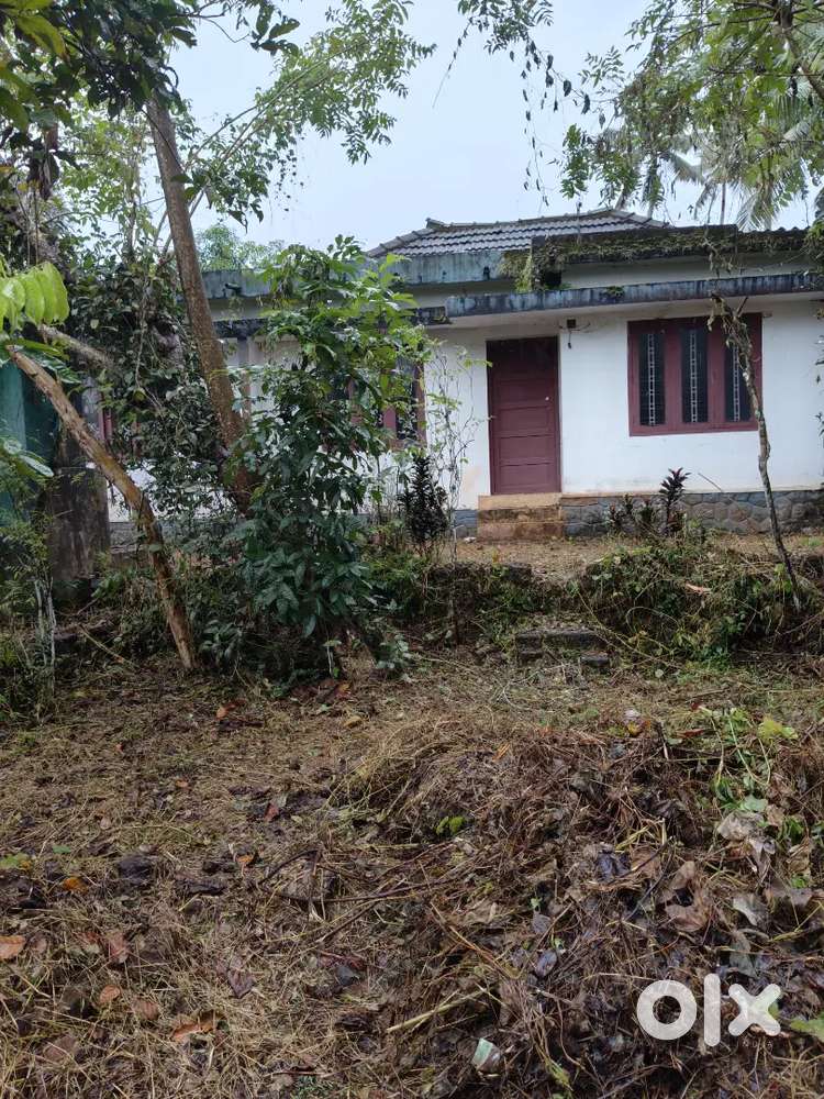 40 cent land with old house for sale