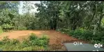 House plots at kumbazha for sale