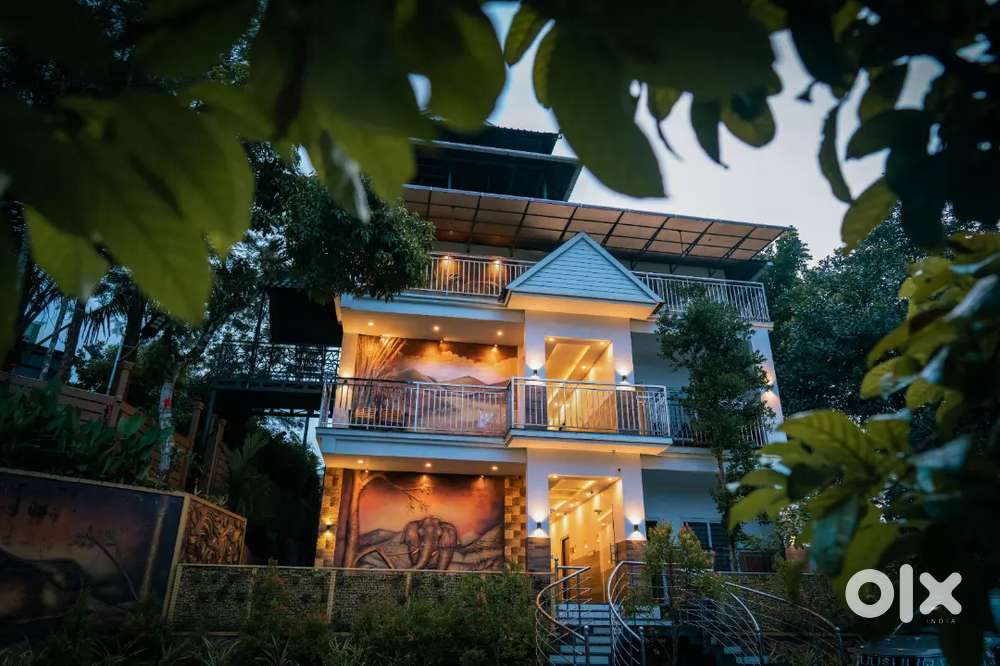 Front Office Executive