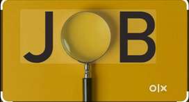 Need Office Assistant cum Car Driver