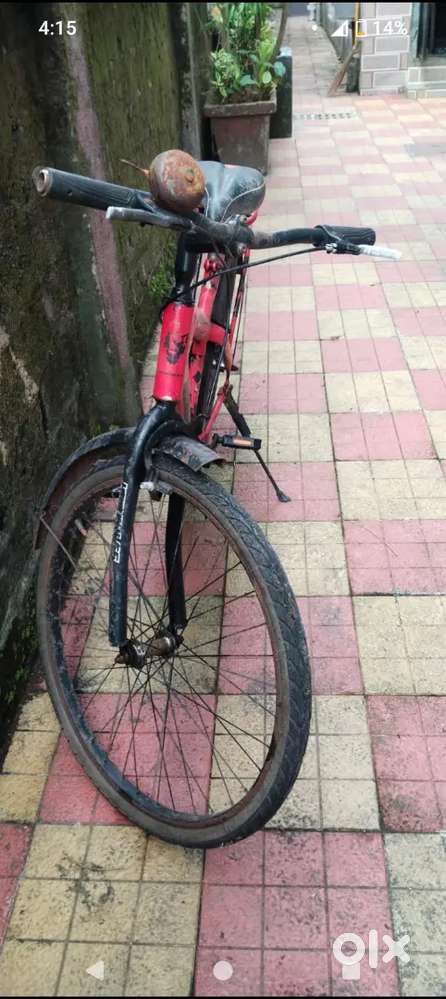 Nice condition cycle