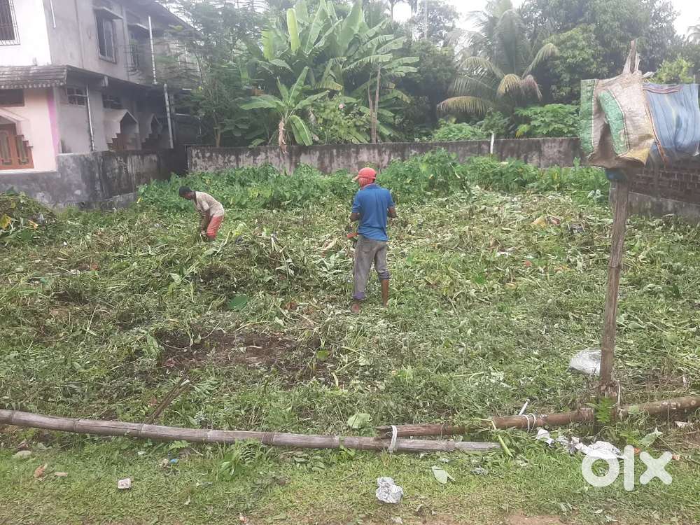 Land for sale at Netaji Pally, Sribhumi