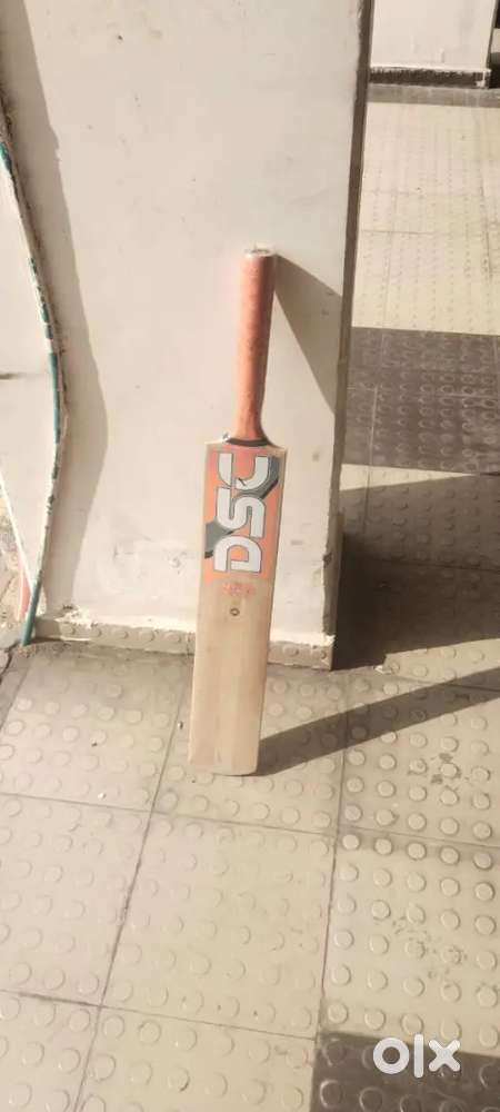 Sports item