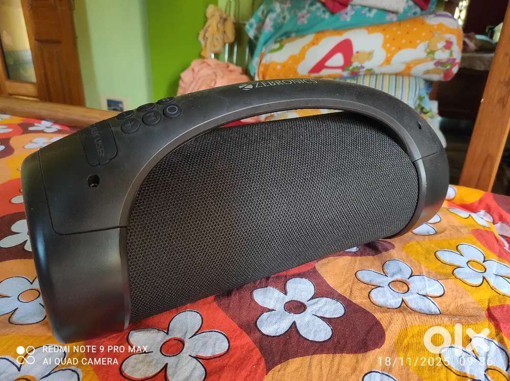 Bluetooth Boom Box, Zebronics