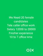tele calling work