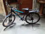 1 year old hero colt cycle