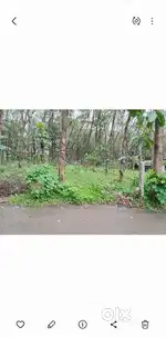 15 cent plot for sale