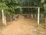 land And Plot