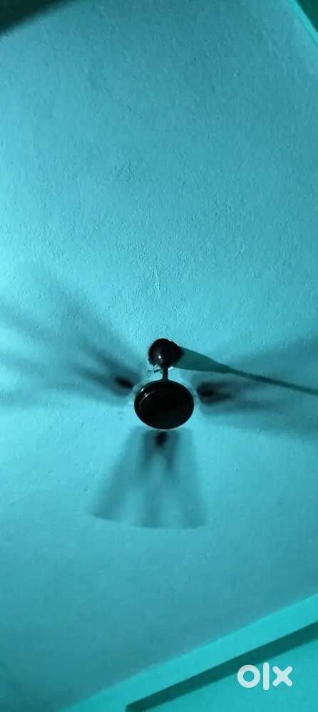 Fan selling