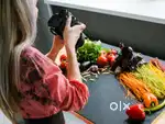 Need female photographer for YouTube cooking video shoot photography