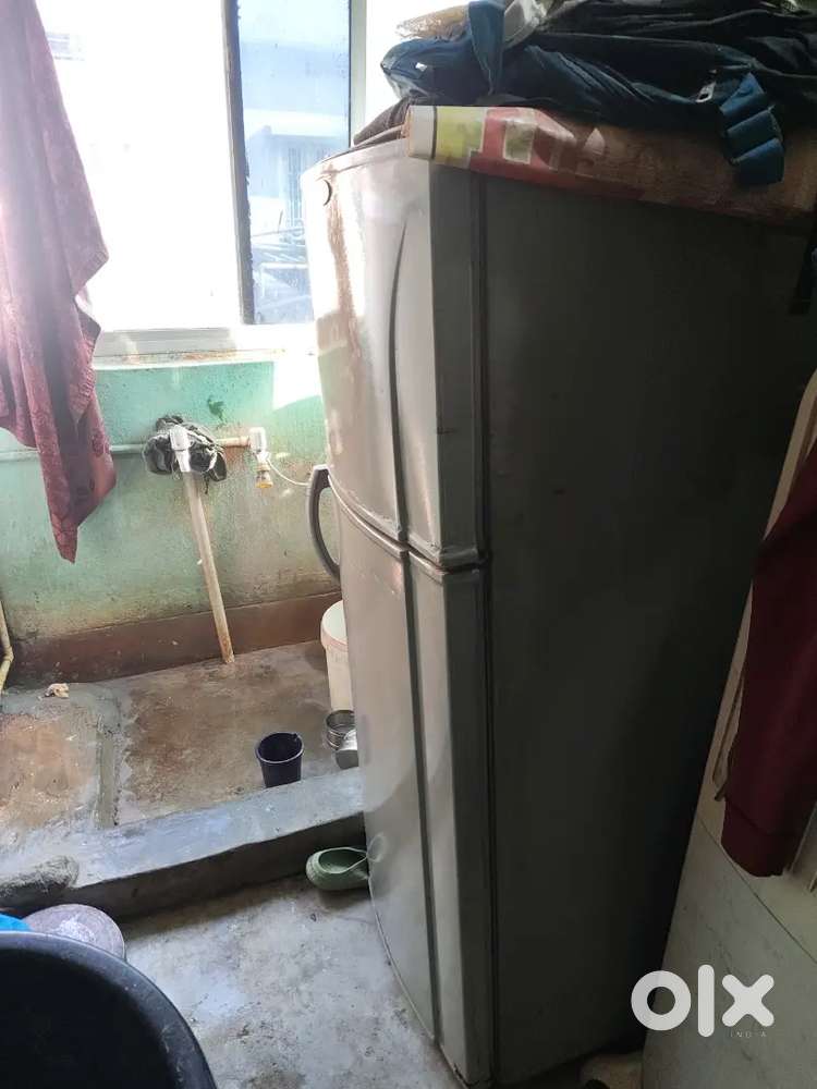 10 year fridge