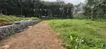 Mallapally Neithelpadi road frontage 100 mtr distance house plot.