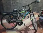 Non gear cycle, good for height growth with shook absorber