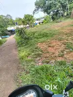 Elanji kooru CSI churchinu samepam 20 cent plot..Tar road sidyil