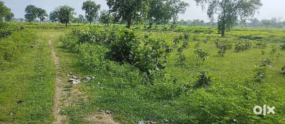 Plot for sale