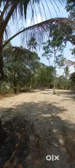 77 Cent Riverside Agriculture Land for Sale