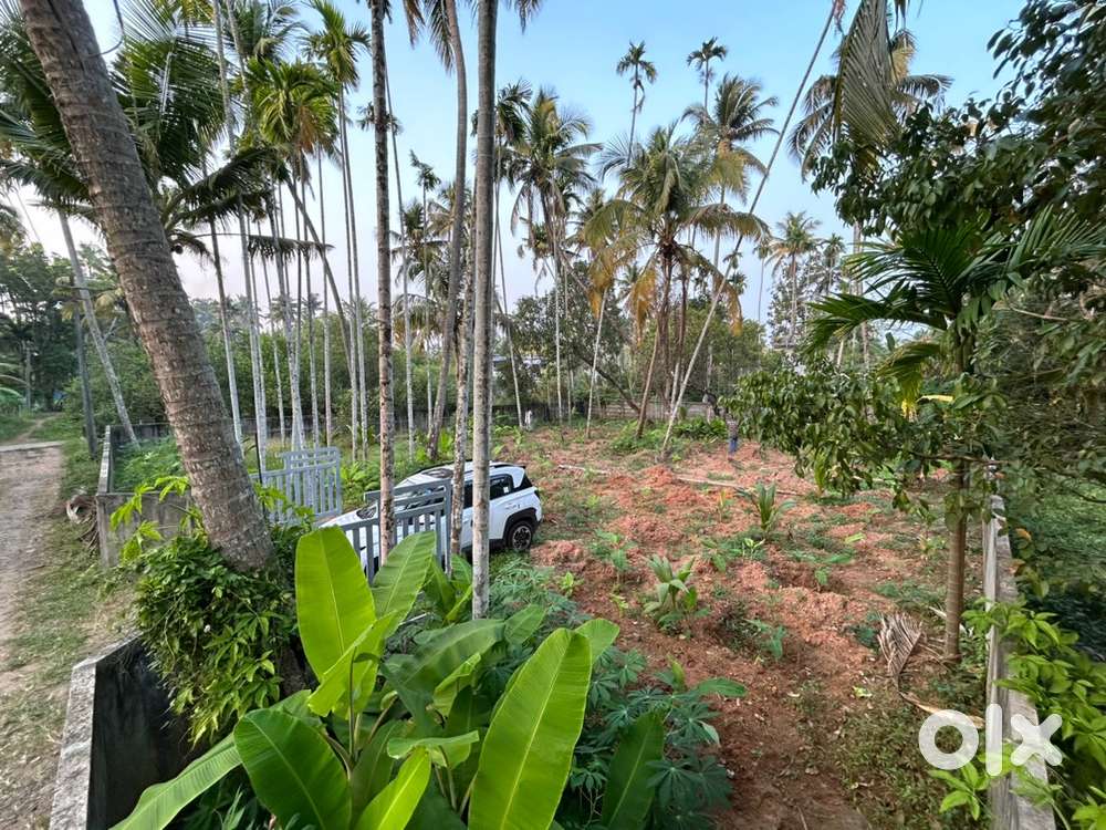 17 cent plot for sale in Puthenvelikara, Ernakulam