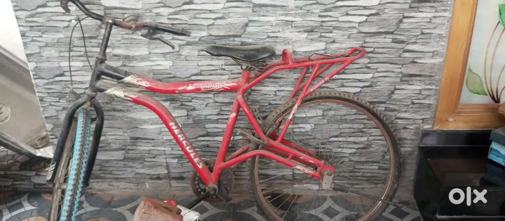 Bicycle   sales