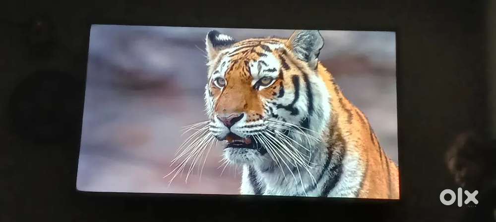 M I COMPANY SMART TV