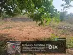 Beautiful plot available for a reasonable budget!