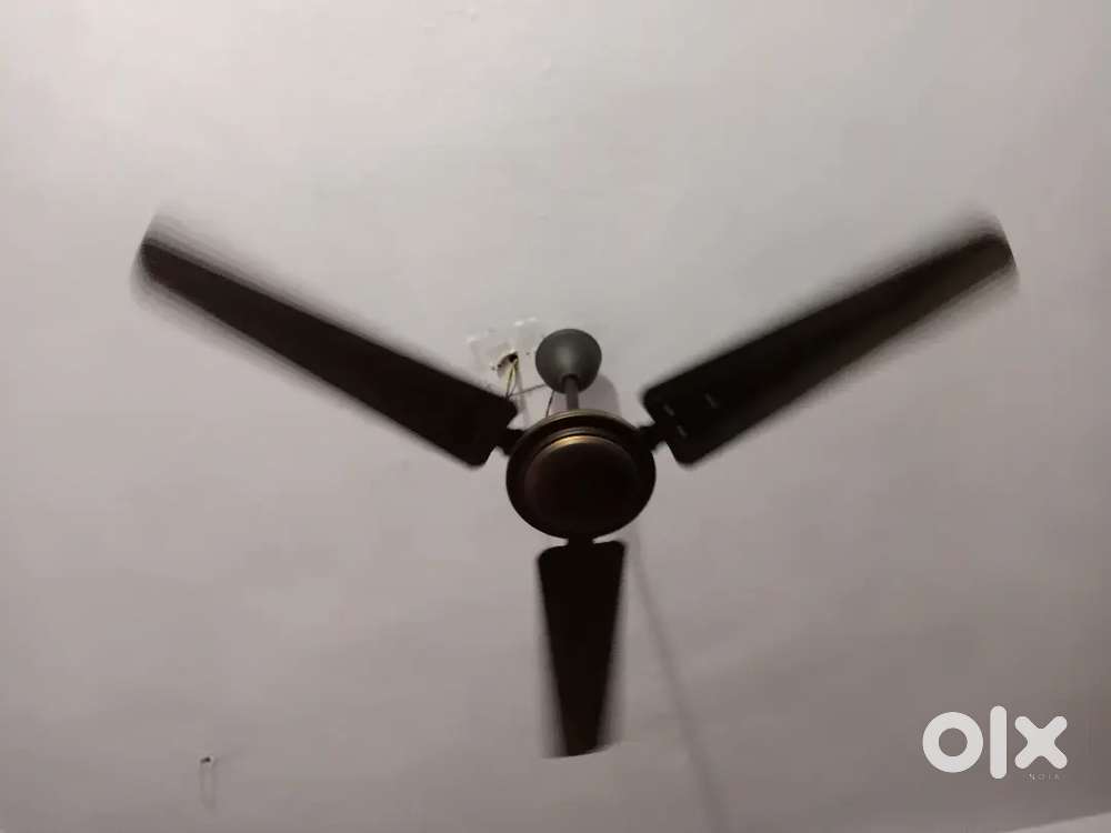 Shiling Fan Running Condition 4 Month Old