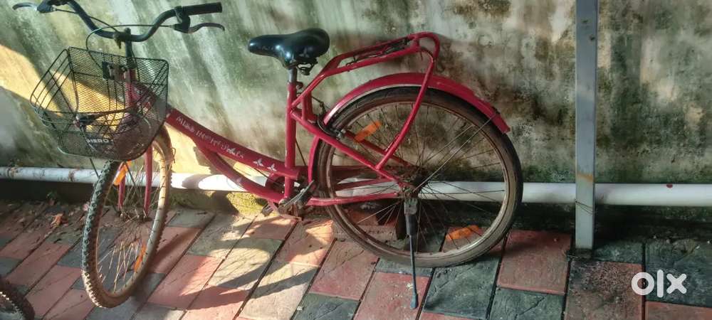 Lady bird cycle at Njarakkal