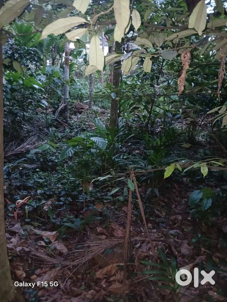 15 cent house plot on road side with water facilities