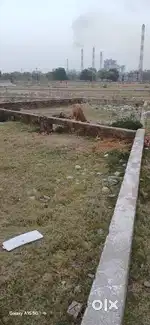 Plot are available near ntpc gate no 2 20 fut raod par nali bhi h