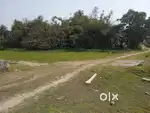 2kotha,5Lessa Myadi land urgent sale in North Guwahati.