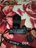 Sony a6600