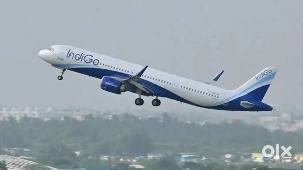 Urgent requirements for ground staff job in Indigo airline
