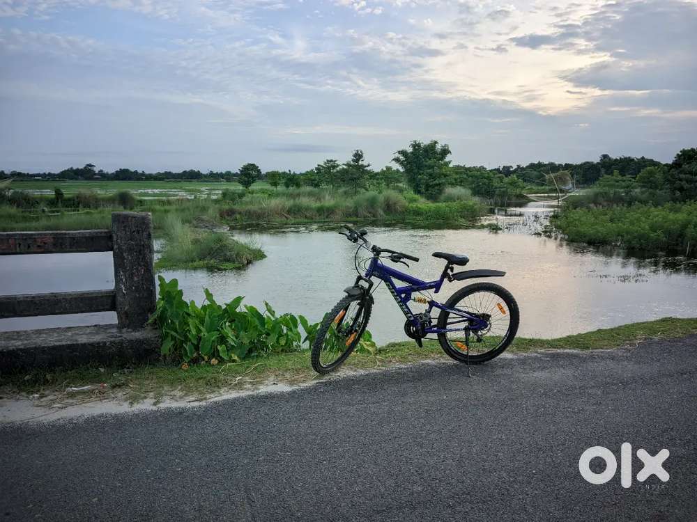 Rodeo blue bicycle