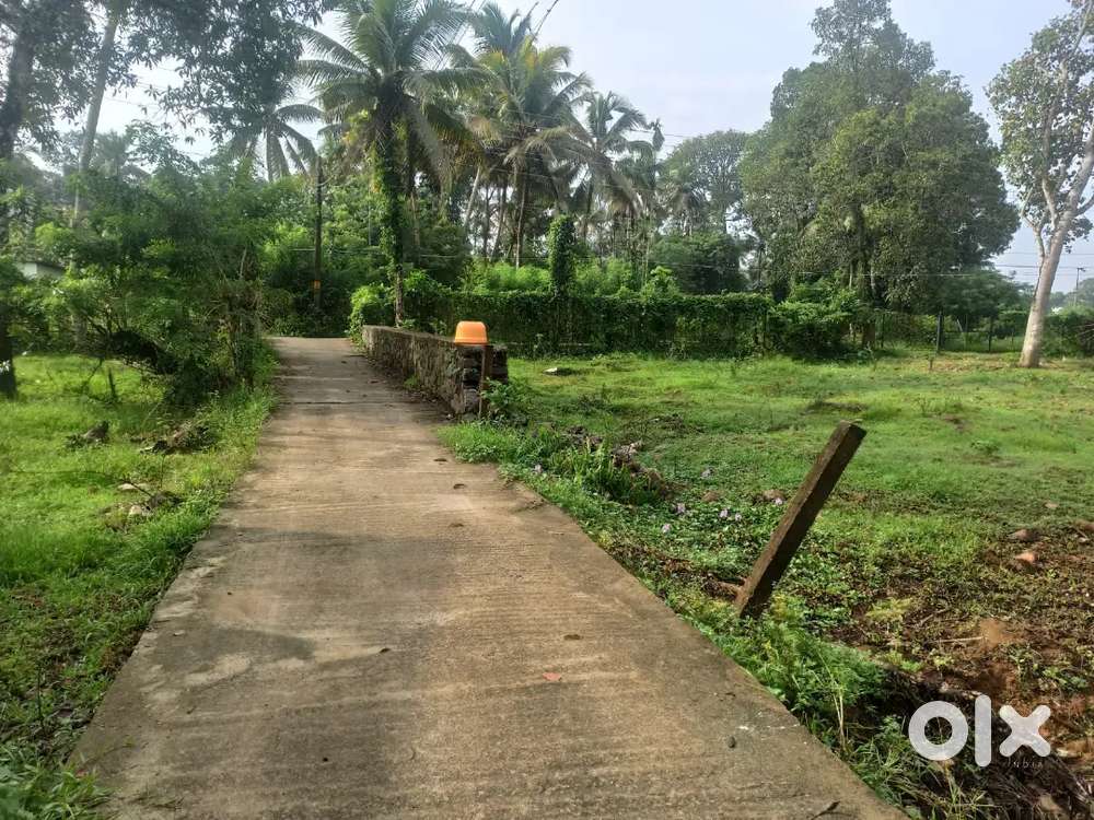 22 Cent Residential Plot for Sale  Road on Both Sides  Near Kottayam