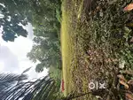 Near Thalayolaparambu