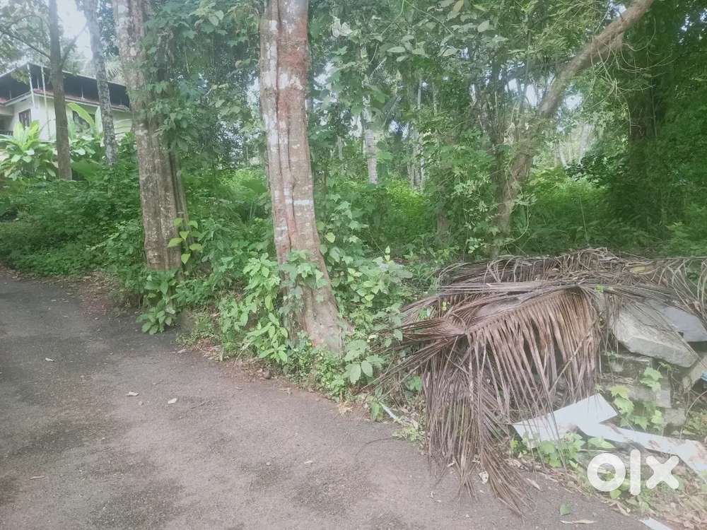 കോട്ടൂളി 53സെന്റ് സ്ഥലം വില്പനക്ക്