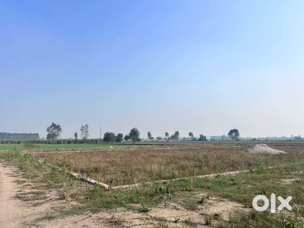 Plot For sale on urgent basis @7000 gaj