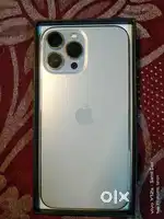 13 pro max